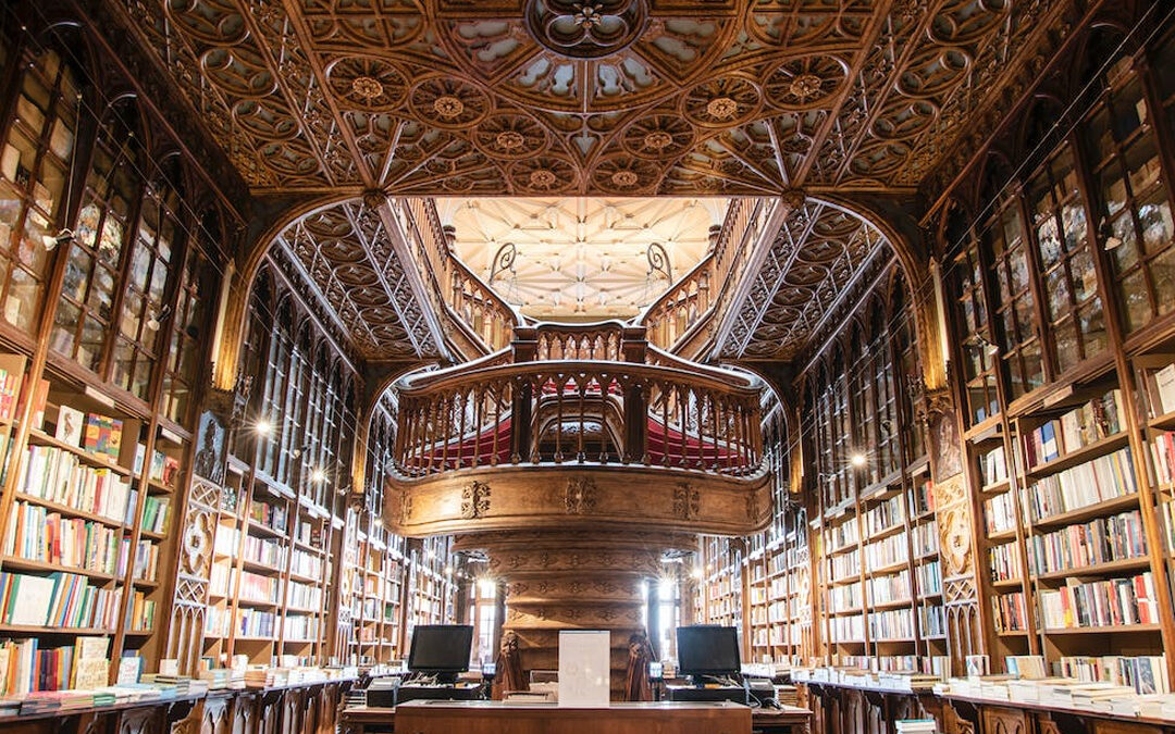 Bibliotecas: monumentos da intelectiva barbárie?